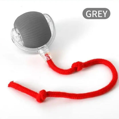 2026 Smart Automatic Rolling Interactive Toy for Kittens and Dogs - USB Rechargeable, Light-Up, Quiet, Bite-Resistant, Wear-Resistant, Non-Toxic with Adjustable Speed and Free Gift