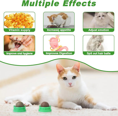 Catnip Balls for Cats - 4 Pack, Edible Silvervine Toys for Kittens, Dental Chew Toys for Healthy Teeth, Cat Wall Treats
