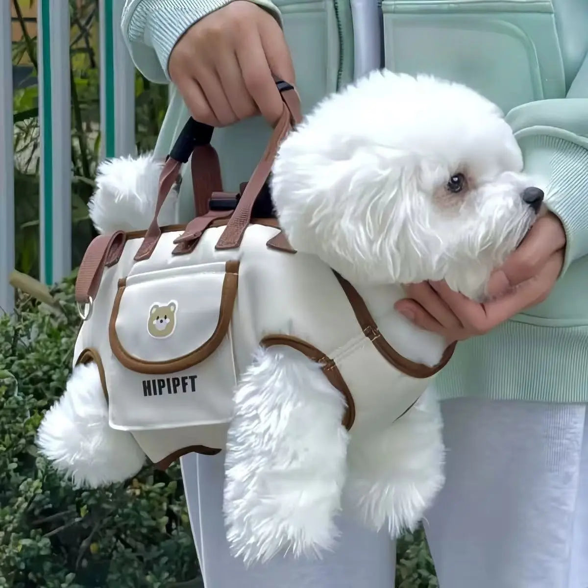 Portable Pet Carrier Backpack for Dogs and Cats, Lightweight Outdoor Travel Bag with Adjustable Shoulder Strap, Breathable Design in Lomi Color/Lion