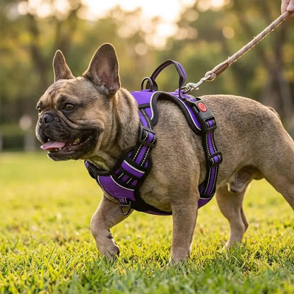 HELETY Purple 3-in-1 Adjustable No-Pull Dog Vest Harness and Leash Set, Sizes S-XL, Dual Front and Back D-Ring Clips, 360° Reflective Design, Padded Chest, Oxford Fabric, Night Safety Features, Built-In Poop Bag Holder, Tangle-Free Cooling Bungee Strap