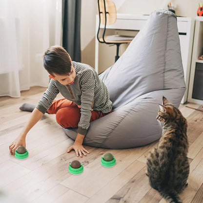 Catnip Balls for Cats - 4 Pack, Edible Silvervine Toys for Kittens, Dental Chew Toys for Healthy Teeth, Cat Wall Treats
