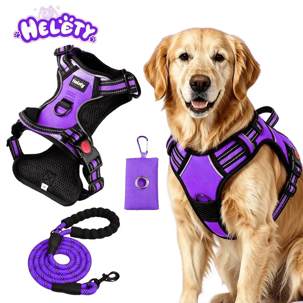 HELETY Purple 3-in-1 Adjustable No-Pull Dog Vest Harness and Leash Set, Sizes S-XL, Dual Front and Back D-Ring Clips, 360° Reflective Design, Padded Chest, Oxford Fabric, Night Safety Features, Built-In Poop Bag Holder, Tangle-Free Cooling Bungee Strap