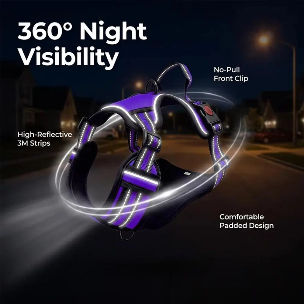 HELETY Purple 3-in-1 Adjustable No-Pull Dog Vest Harness and Leash Set, Sizes S-XL, Dual Front and Back D-Ring Clips, 360° Reflective Design, Padded Chest, Oxford Fabric, Night Safety Features, Built-In Poop Bag Holder, Tangle-Free Cooling Bungee Strap