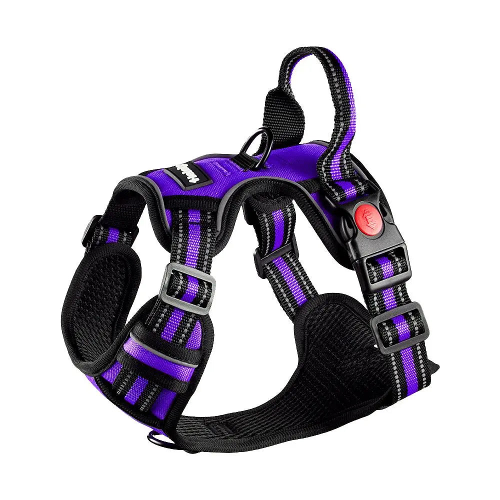 HELETY Purple 3-in-1 Adjustable No-Pull Dog Vest Harness and Leash Set, Sizes S-XL, Dual Front and Back D-Ring Clips, 360° Reflective Design, Padded Chest, Oxford Fabric, Night Safety Features, Built-In Poop Bag Holder, Tangle-Free Cooling Bungee Strap