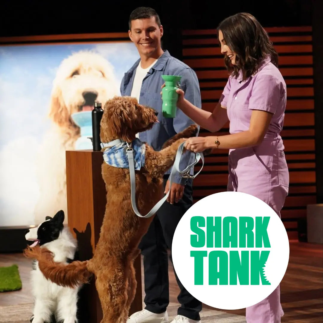 TikTok Exclusive: Set of 2 - 20 Oz Flip Dog Travel Water Bottles