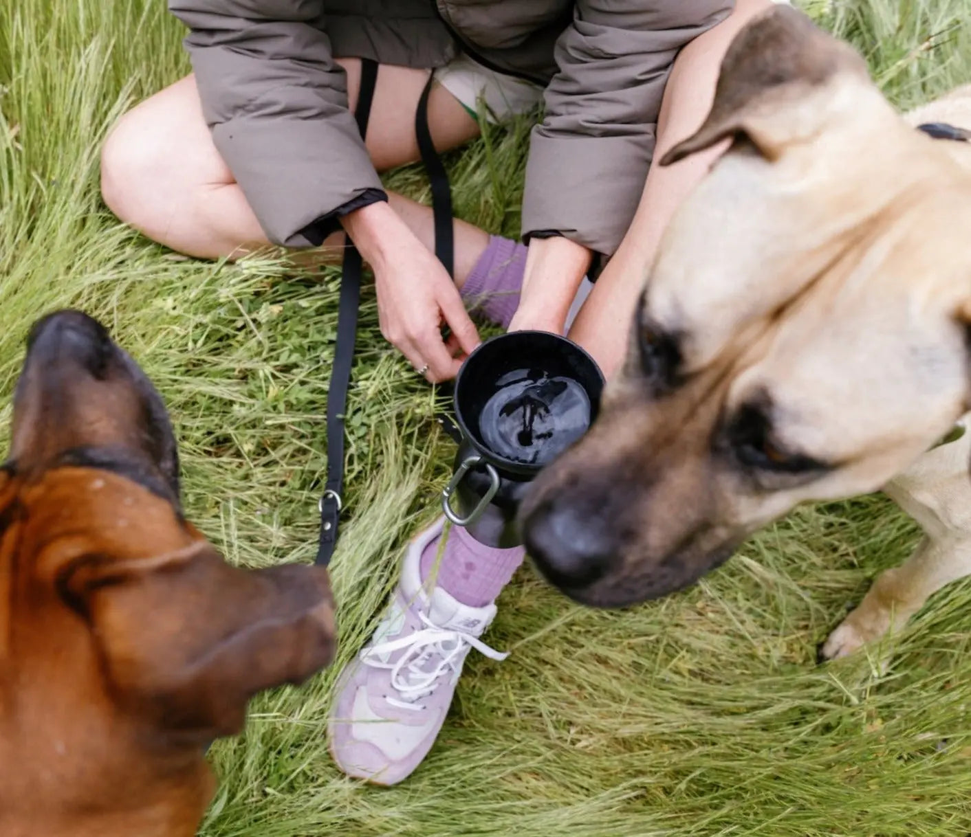 TikTok Exclusive: Set of 2 - 20 Oz Flip Dog Travel Water Bottles