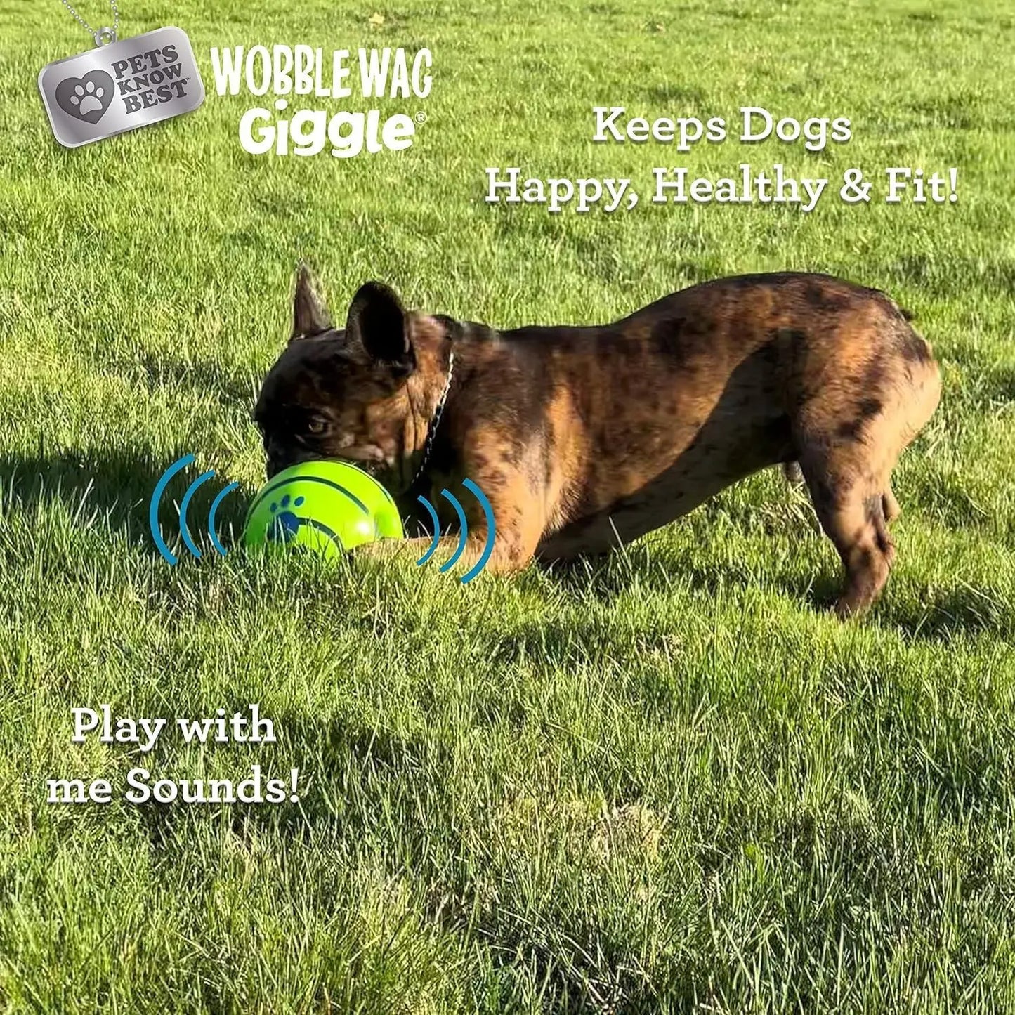 Silicone Interactive Dog Treat Dispenser Ball - Durable Chew Toy for Indoor and Outdoor Play