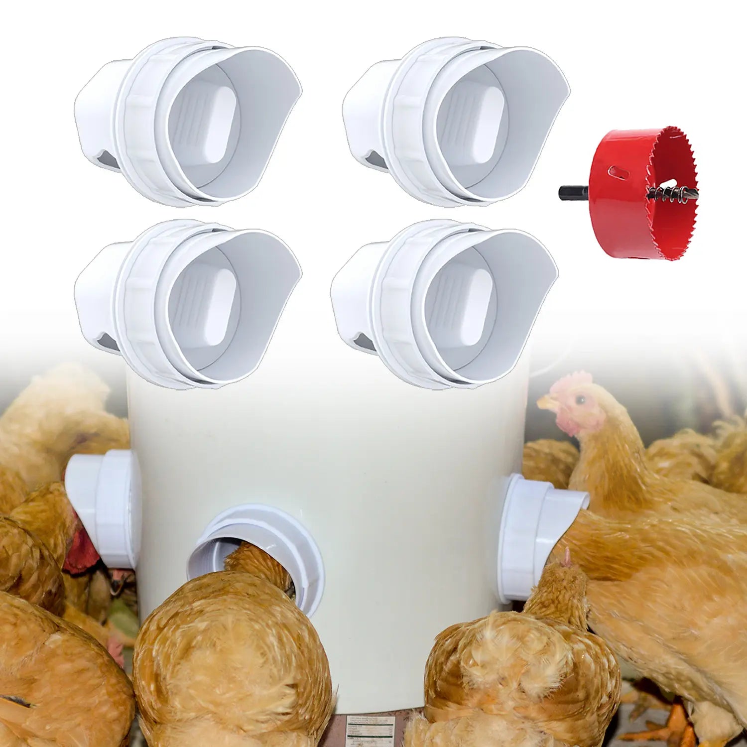 Heavy-Duty Weatherproof Automatic Chicken Feeder with No-Waste Gravity Feeding Dispenser Kit for Backyard Poultry