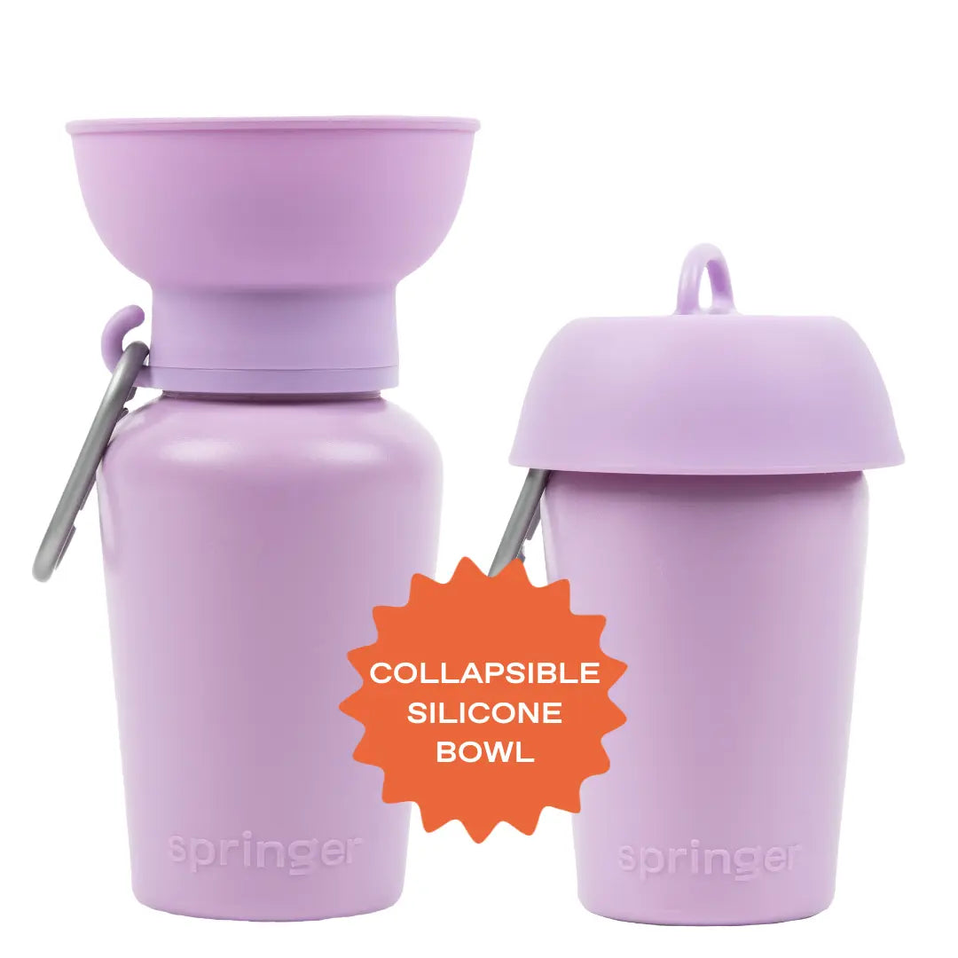 TikTok Exclusive: Set of 2 - 20 Oz Flip Dog Travel Water Bottles