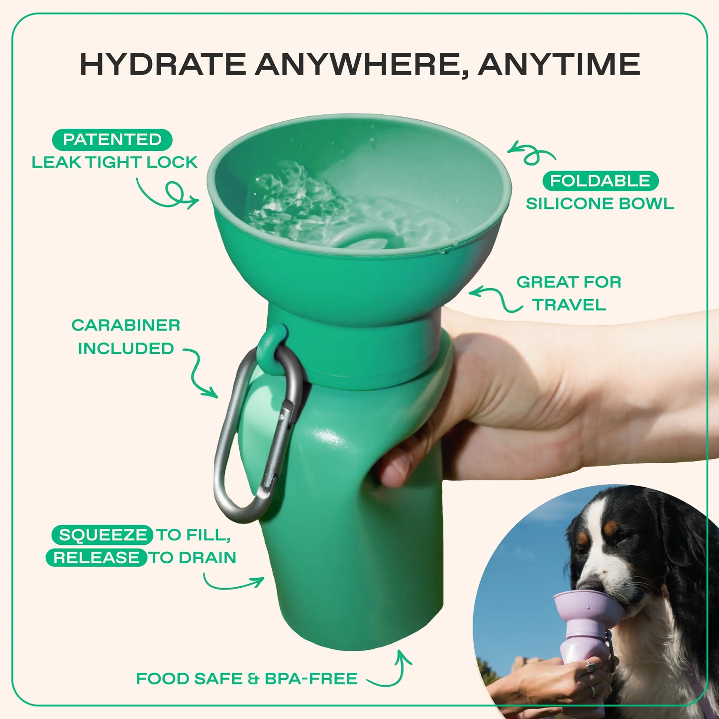 TikTok Exclusive: Set of 2 - 20 Oz Flip Dog Travel Water Bottles