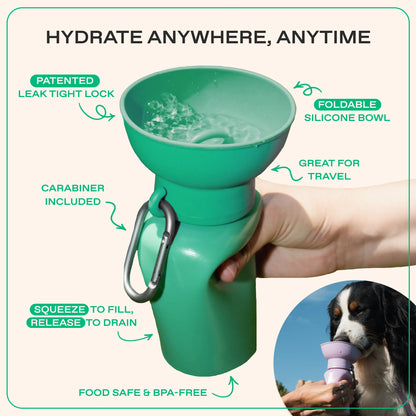 TikTok Exclusive: Set of 2 - 20 Oz Flip Dog Travel Water Bottles