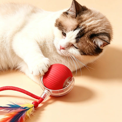 2026 Smart Automatic Rolling Interactive Toy for Kittens and Dogs - USB Rechargeable, Light-Up, Quiet, Bite-Resistant, Wear-Resistant, Non-Toxic with Adjustable Speed and Free Gift