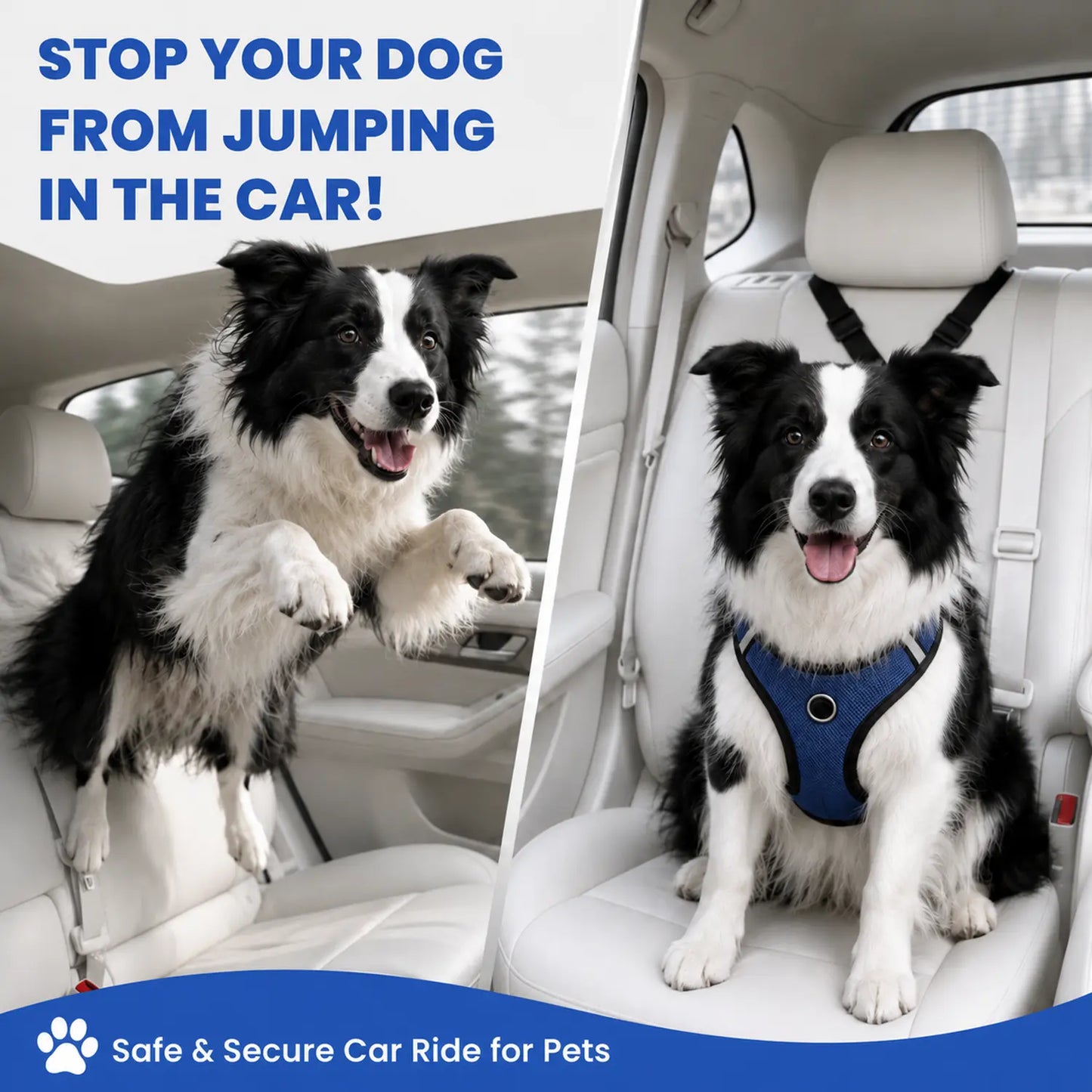 Adjustable Dog Car Safety Seat Belt with Cute Leash - Set of 2