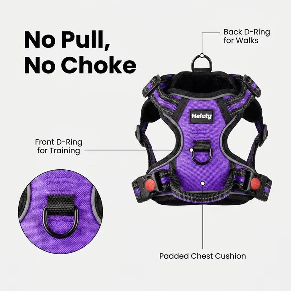HELETY Purple 3-in-1 Adjustable No-Pull Dog Vest Harness and Leash Set, Sizes S-XL, Dual Front and Back D-Ring Clips, 360° Reflective Design, Padded Chest, Oxford Fabric, Night Safety Features, Built-In Poop Bag Holder, Tangle-Free Cooling Bungee Strap