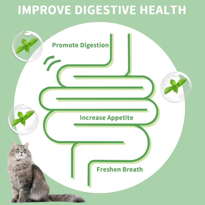 Catnip Balls for Cats - 4 Pack, Edible Silvervine Toys for Kittens, Dental Chew Toys for Healthy Teeth, Cat Wall Treats