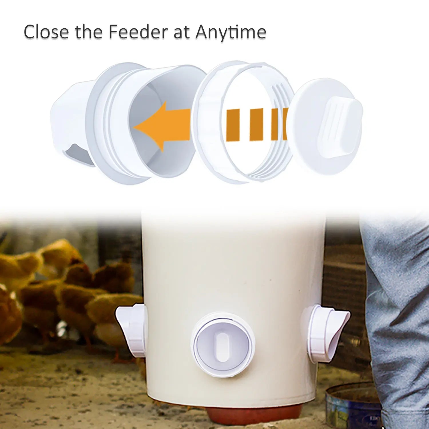Heavy-Duty Weatherproof Automatic Chicken Feeder with No-Waste Gravity Feeding Dispenser Kit for Backyard Poultry